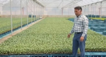 راز نشای با کیفیت از نگاه متخصصان کشاورزی