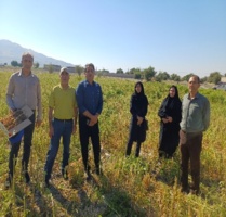 بازدید اعضای هیات علمی موسسه  تحقیقات گیاه پزشکی کشور؛