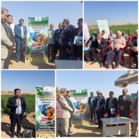 خسارت ناشی از افت کمی و کیفی منابع آبی کشور از پیامدهای منفی تغییر اقلیم می‌باشد