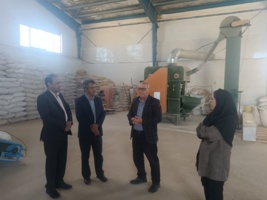 بذر سالم، رکن اساسی در تحقق امنیت غذایی کشور