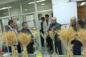 مرکز تحقیقات کشاورزی چهارمحال و بختیاری؛ الگویی موفق و لزوم حمایت ویژه از پژوهشگران کشاورزی