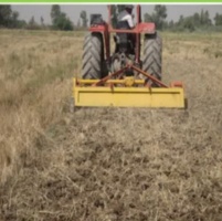 مدیریت بقایای گیاهی؛ کلید طلایی کشاورزی پایدار و امنیت غذایی