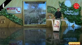 ایجاد کلکسیون پده؛ مسیری برای حفاظت و احیای اکوسیستم‌های کرانرودی و توسعه زراعت چوب در خوزستان