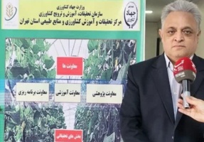 ایجاد مزارع الگویی در استان تهران با هدف انتقال دانش فنی، ارتقای بهره‌وری و افزایش تولید آغاز شد.