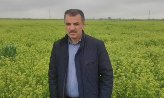 کشت ۷ هزار هکتاری «کاملینا» در اراضی شور گلستان/ ایستگاه تحقیقاتی گنبد به قطب تولید بذر کشور تبدیل شود