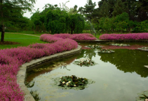 نیم‌قرن تلاش برای حفاظت از میراث طبیعی با ثبت فرهنگی - تاریخی