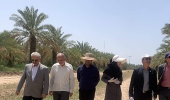 بازدید رئیس موسسه تحقیقات علوم باغبانی از ستاد پژوهشکده خرما و میوه های گرمسیری؛