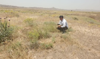 پژوهشگران به دنبال راهکارهای حفاظت از منابع طبیعی