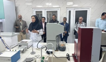 از شناسایی تا کنترل؛ جدیدترین راهکارهای مدیریت سن گندم بررسی شد