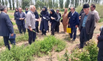 پژوهشگران اردبیلی بر توسعه گیاهان دارویی و زراعت چوب با رویکرد بهره‌برداری پایدار تأکید کردند