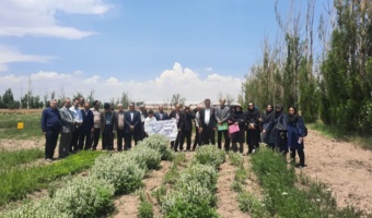 کارگاه عملی گلاب‌گیری در پایگاه تحقیقاتی سامیان اردبیل برگزار شد