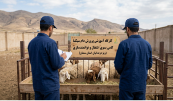 برگزاری کارگاه مهارتی پرورش دام سبک ویژه زندانیان استان سمنان
