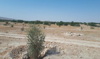 مدیریت انسانی، سدی در برابر طوفان‌های گردوغبار