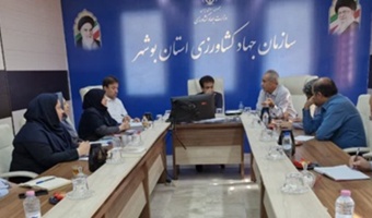 نشست کارگروه بررسی و تدوین الگوی کشت باغبانی