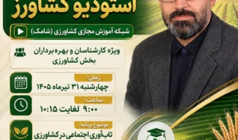 تاب‌آوری اجتماعی؛ حلقه پیوند دانش، مشارکت و پایداری در کشاورزی
