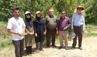 از ارزیابی فنی تا معرفی الگو؛ باغ سیب آموزگار در مسیر نمونه شدن