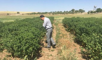 شتاب‌بخشی به تولید بذر و محصولات دانش‌بنیان در آذربایجان شرقی