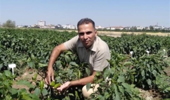 بازسازی ژنتیکی به کمک نشانگرهای مولکولی و اصلاح معکوس