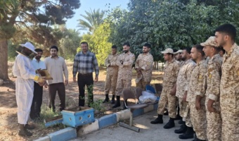 برگزاری کلاس عملی دوره آموزش پرورش زنبور عسل در سرپل ذهاب؛ مهارت‌آموزی برای آینده شغلی سربازان