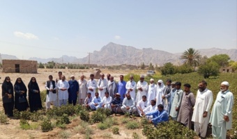 برگزاری کارگاه آموزشی ـ ترویجی  مدیریت مزارع پنبه در اولین مزرعه الگویی پنبه در شهرستان خاش سیستان و بلوچستان