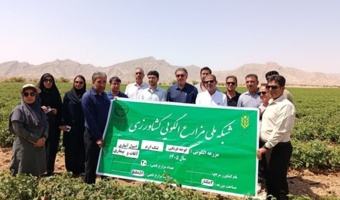 برگزاری کارگاه آموزشی – ترویجی مدیریت آفات گوجه‌فرنگی در تنگ‌ارم شهرستان دشتستان