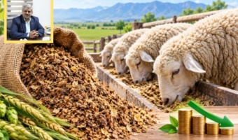 آغاز پروژه تحقیقات دامی روی استفاده از تفاله مالت