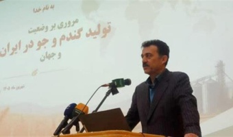 ضرورت تفکیک اراضی و بازنگری در الگوی مدیریت گندم آبی بر اساس دسترسی به آب/کیفیت مطلوب بیش از ۸۵ درصد گندم کشور