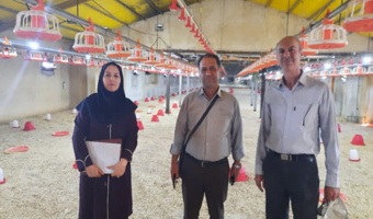 بازدید از واحدهای پرورش مرغ گوشتی شهرستان شازند برای جمع‌آوری داده‌های انرژی