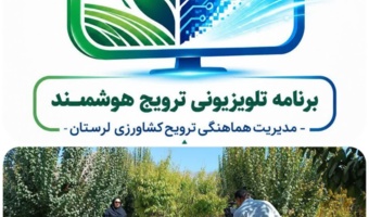 نسخه علمی برای جهش تولید در مزارع دیم؛ توصیه‌های فنی محقق ارشد غلات دیم مرکز تحقیقات کشاورزی لرستان برای ارتقای عملکرد گندم