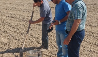 ارزیابی فنی دیسکِ ساخت خوزستان در مزارع شوشتر