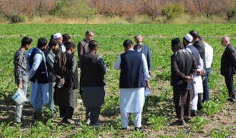 گزارش تصویری بازدید کارشناسان کشاورزی کشور افغانستان از مزارع و گلخانه های بذور سبزی و صیفی مستقر در مرکز آموزش عالی امام خمینی(ره)