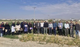 برگزاری دوره آموزشی «زراعت کینوا» در مؤسسه تحقیقات اصلاح و تهیه نهال و بذر
