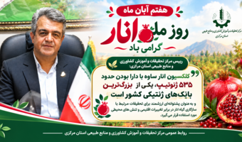 کلکسیون ژنتیکی انار ساوه؛ پشتوانه‌ای ارزشمند برای مقابله با تغییرات اقلیمی