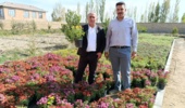 بازدید کارشناسان بخش ثبت و گواهی بذر و نهال از محمولههای صادراتی نهال آذربایجان غربی