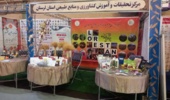 درخشش مرکز تات لرستان در بیست و ششمین نمایشگاه هفته پژوهش