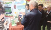 رونمایی از ۶ رقم جدید لوبیای معرفی شده توسط پردیس تحقیقات و آموزش لوبیای خمین