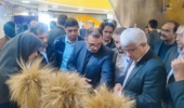 حضور مرکز تحقیقات کشاورزی گلستان در بیستوششمین نمایشگاه دستاوردهای پژوهش و فناوری