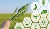 آموزش ملی کسبوکارهای نوین؛ گامی امیدبخش برای تحول دیجیتال در کشاورزی ایران
