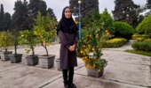 نقش مدیریت تغذیه گیاه در افزایش تحمل تنشهای اقلیمی و تولید پایدار محصولات کشاورزی
