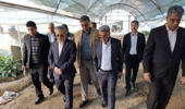 بازدید معاون وزیر و رئیس سازمان تحقیقات، آموزش و ترویج کشاورزی از گلخانه تولید بادمجان و فلفل در جیرفت