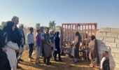 بازدید از دامداریها در قالب طرح یاوران تولید