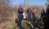 برگزاری روز مزرعه «مدیریت علمی هرس باغات»