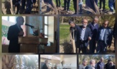 اولین سمینار تخصصی خرما با عنوان تغذیه و مدیریت آفات نخیلات در روستای دهلسم نهبندان برگزار شد