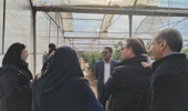 برگزاری کارگاه آموزشی مدیریت گلخانههای جالیزی درشهرستان سیرجان استان کرمان