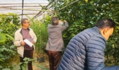 بازدید محققین و کارشناسان موسسه تحقیقات ثبت و گواهی بذر و نهال از پژوهشکده مرکبات و میوه‌های نیمه‌گرمسیری