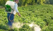 ارزیابی احتمال خطر آفت‌کش‌ها در کشاورزی رویکردی علمی برای کاهش مخاطرات بهداشتی و زیست‌محیطی و حرکت به سوی کاربرد آفت‌کش‌های کم‌خطر