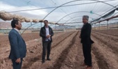 برگزاری کارگاه آموزشی ترویجی مدیریت گلخانههای جالیزی در بخش راین شهرستان کرمان