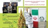 یازدهمین فصلنامه خبری الکترونیکی موسسه تحقیقات اصلاح و تهیه نهال و بذر منتشر شد