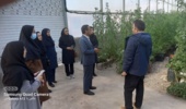 برگزاری کارگاه آموزشی اقدامات زمستانه گلخانهها در شهرستان رفسنجان