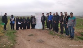 کارگاه آموزشی تغذیه اصولی گندم و روز انتقال یافتهها در هلیلان برگزار شد